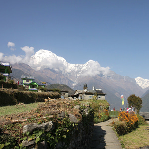 [네팔] 안나푸르나 파노라마 정통트레킹9일